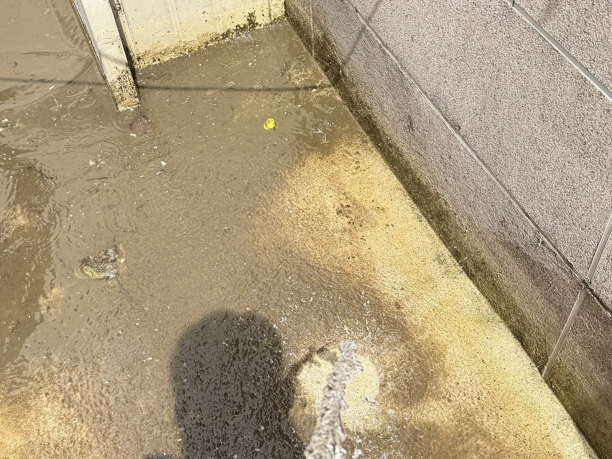 장수군 계남면 침수 현장 복도·대기 동선 야간 위생청소 사례 - 행진크린